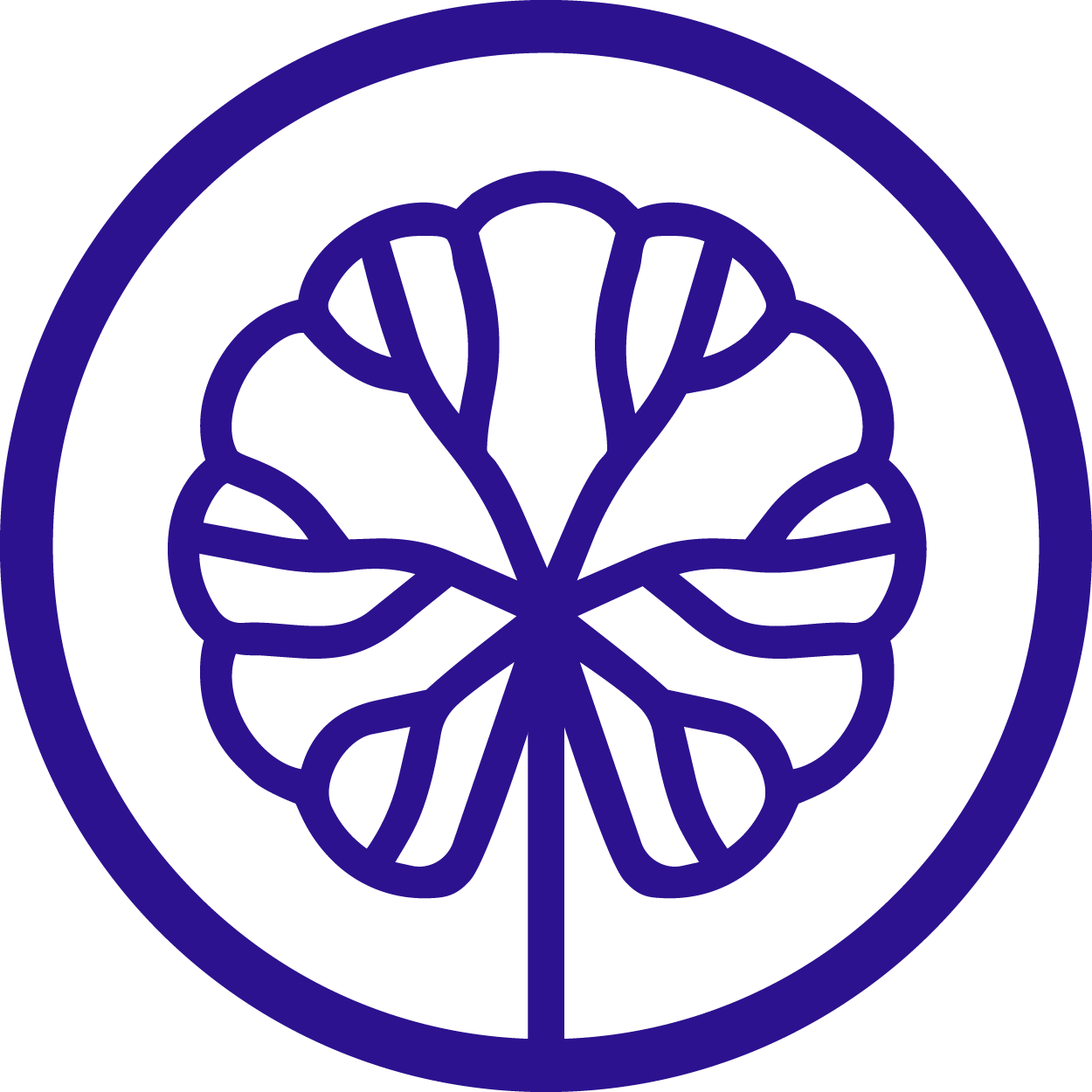 Centella